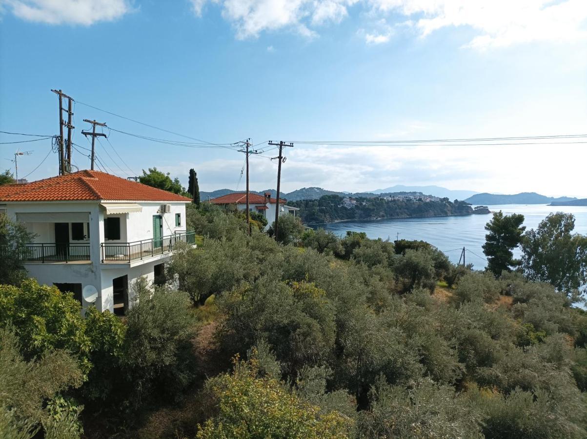 Ftelia House Villa Skiáthos Eksteriør bilde
